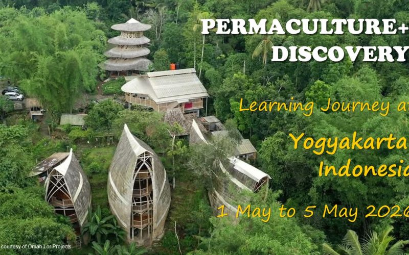 202605-Omah Lor-banner