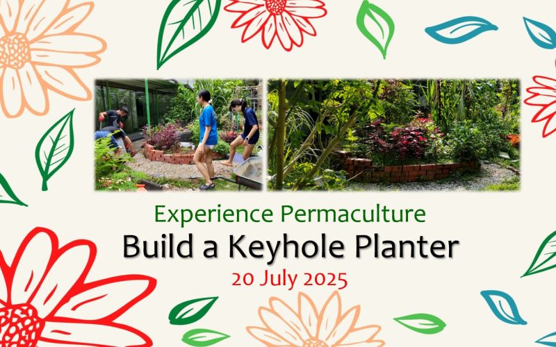Experience Permaculture-20250720