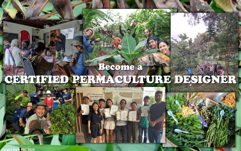 PDC2026-flyer-header